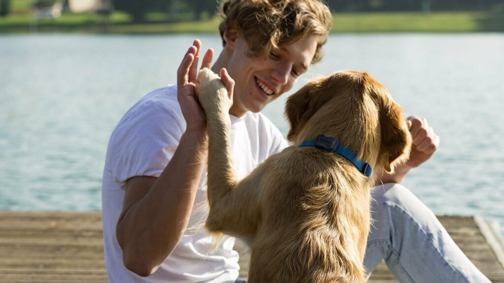 FitBark 2 dog activity monitor