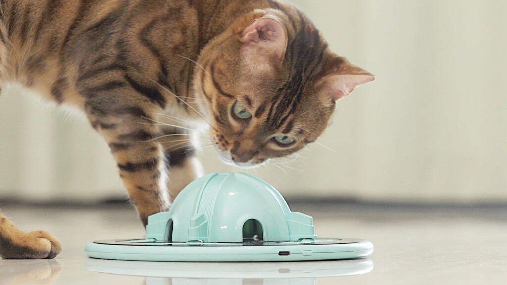 Cool pet gadgets you can give pet parents this holiday season