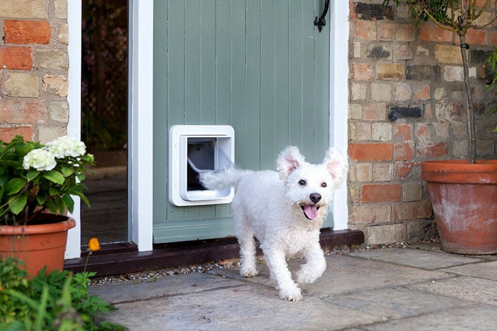 Cool pet gadgets you can give pet parents this holiday season