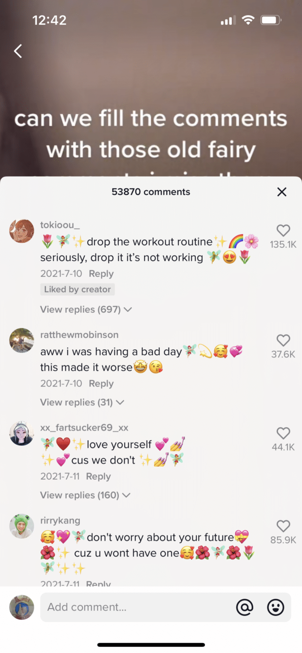 TikTok fairy comment examples
