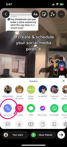 copy link option on TikTok question