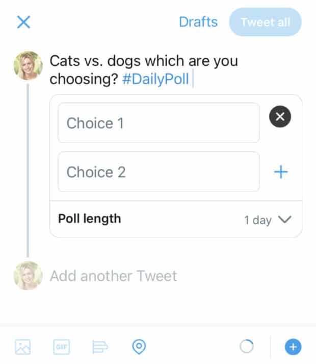 cats vs. dogs example poll