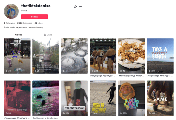 the tiktokdealxo's account homepage