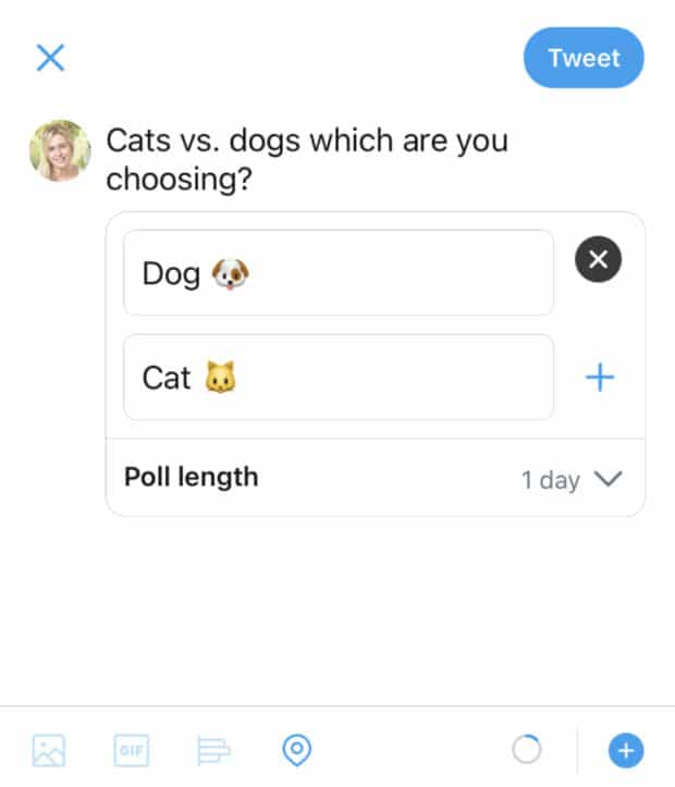 choose two poll option dog and cat