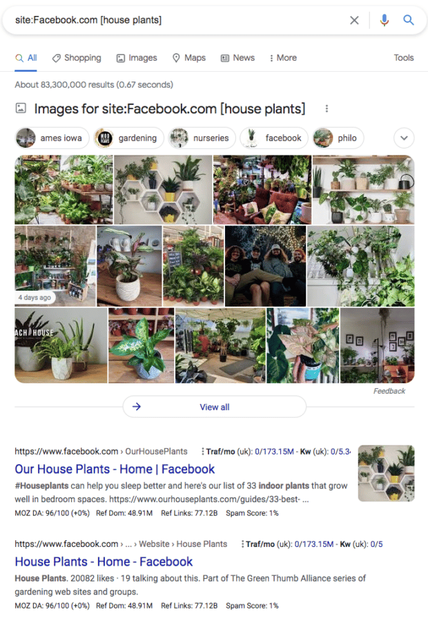 Facebook search commands house plants