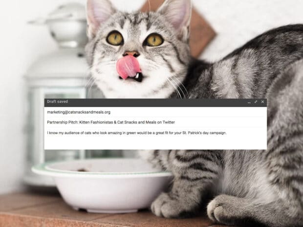 example of a brand pitch deck: cat email st patrick's day campaign