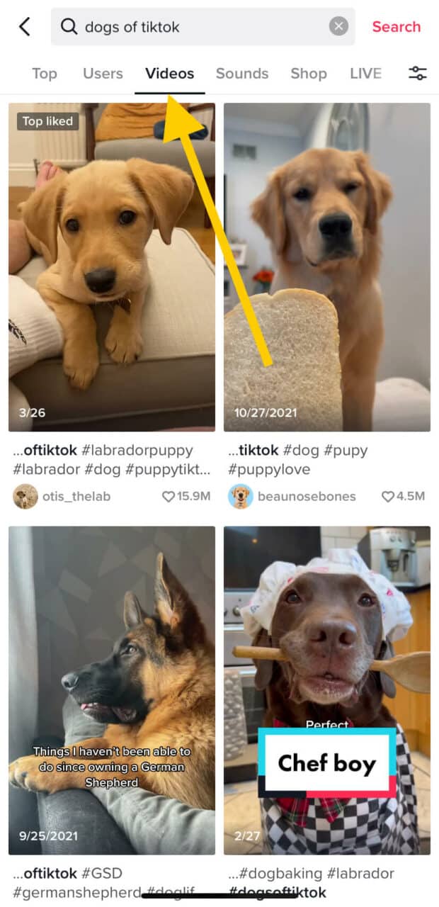 Dogs of TikTok Videos tab search results