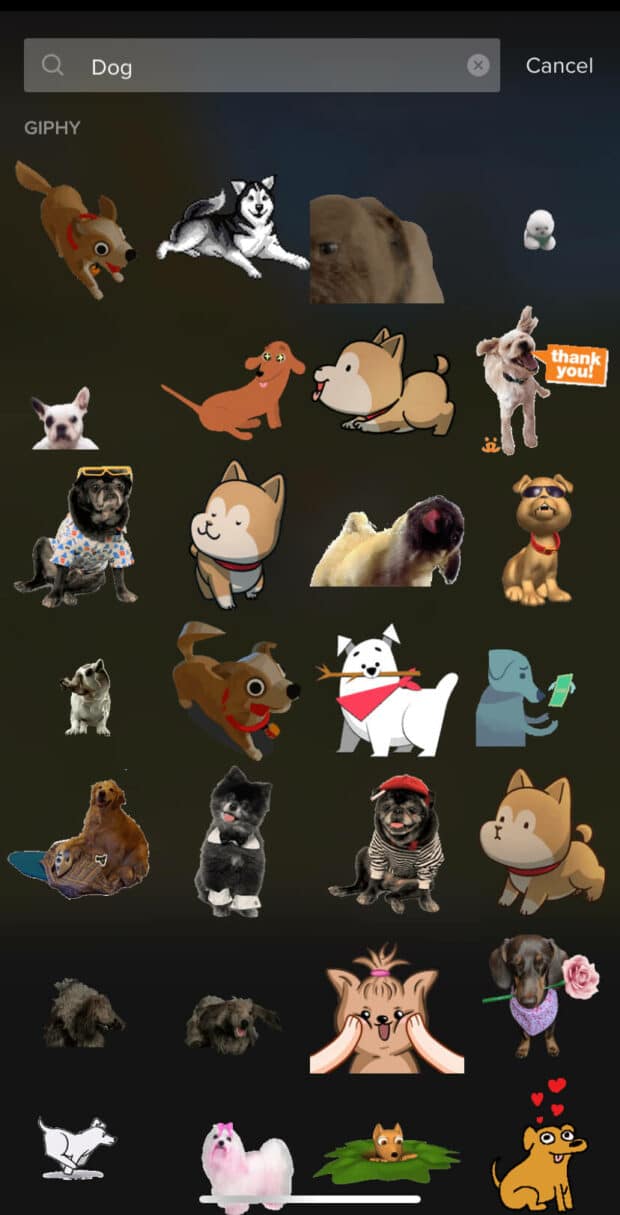 Search dog GIFs on TikTok