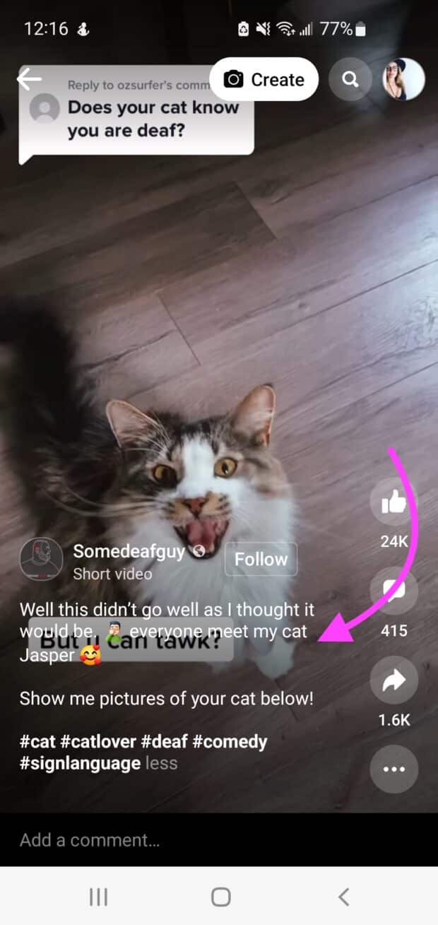 reel description deaf cat