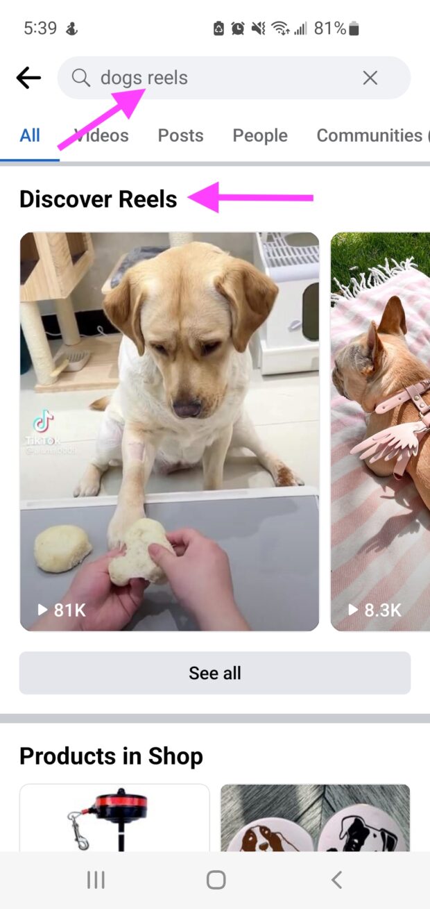 search for dog reels on Facebook