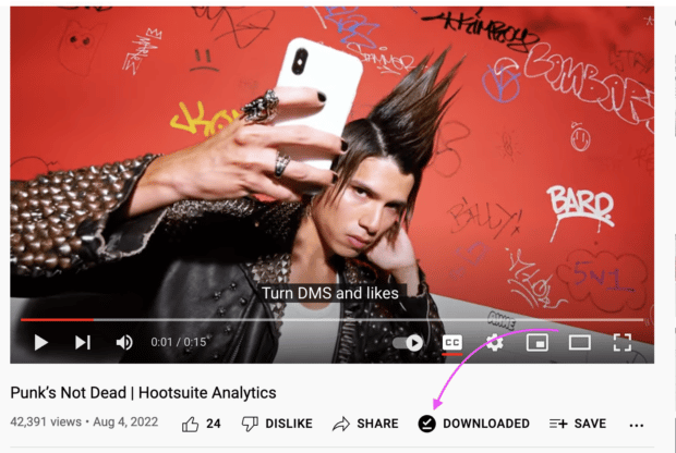 downloaded video checkmark icon
