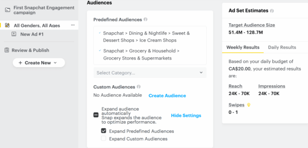 audiences and ad estimates