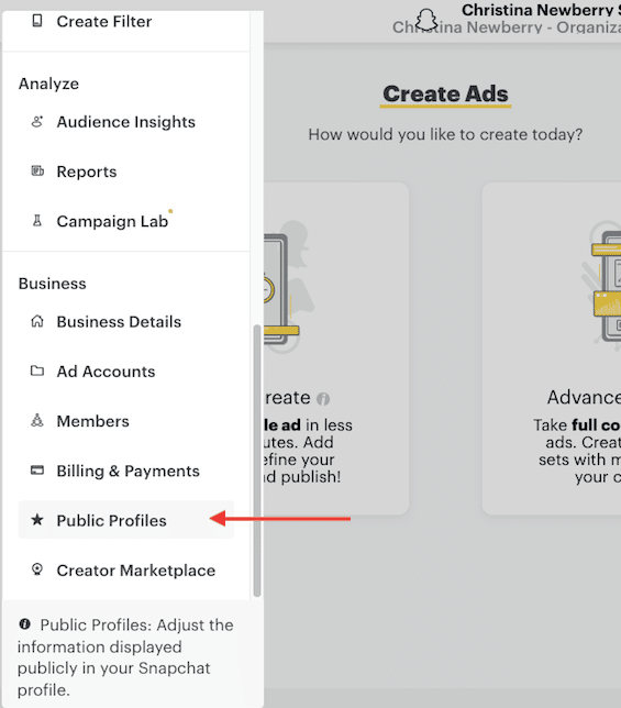 Ads Manager Public Profiles