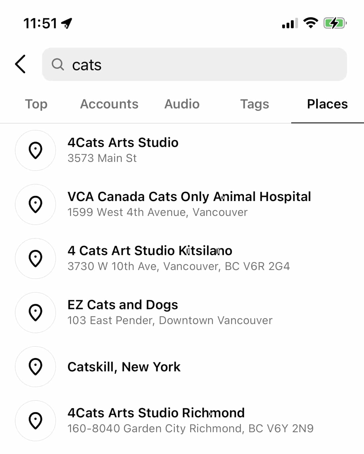 Instagram search results for cats
