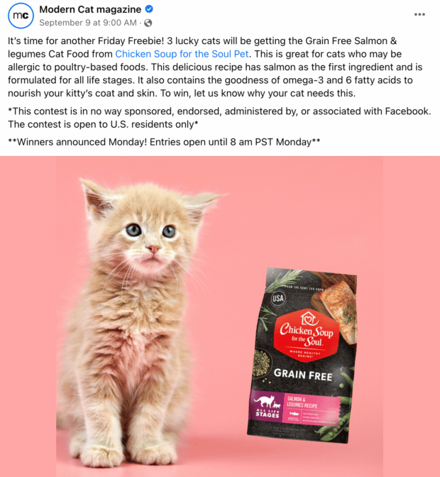 Modern Cat magazine cat food giveaway