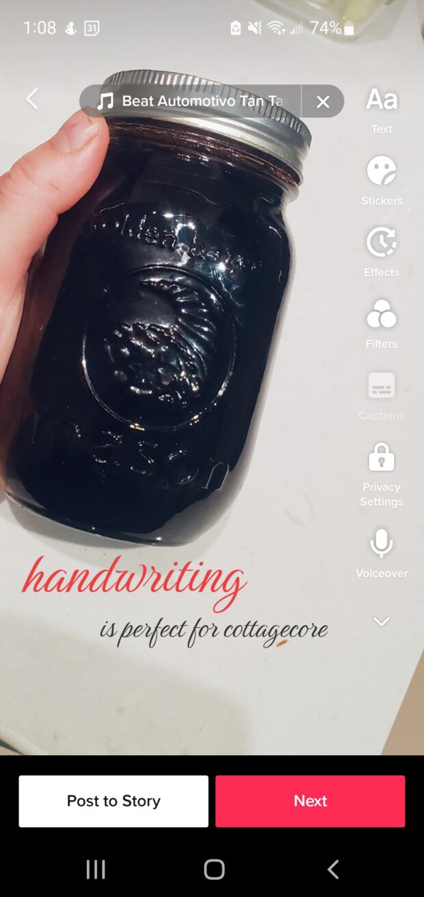 handwriting cottagecore blackberry jam
