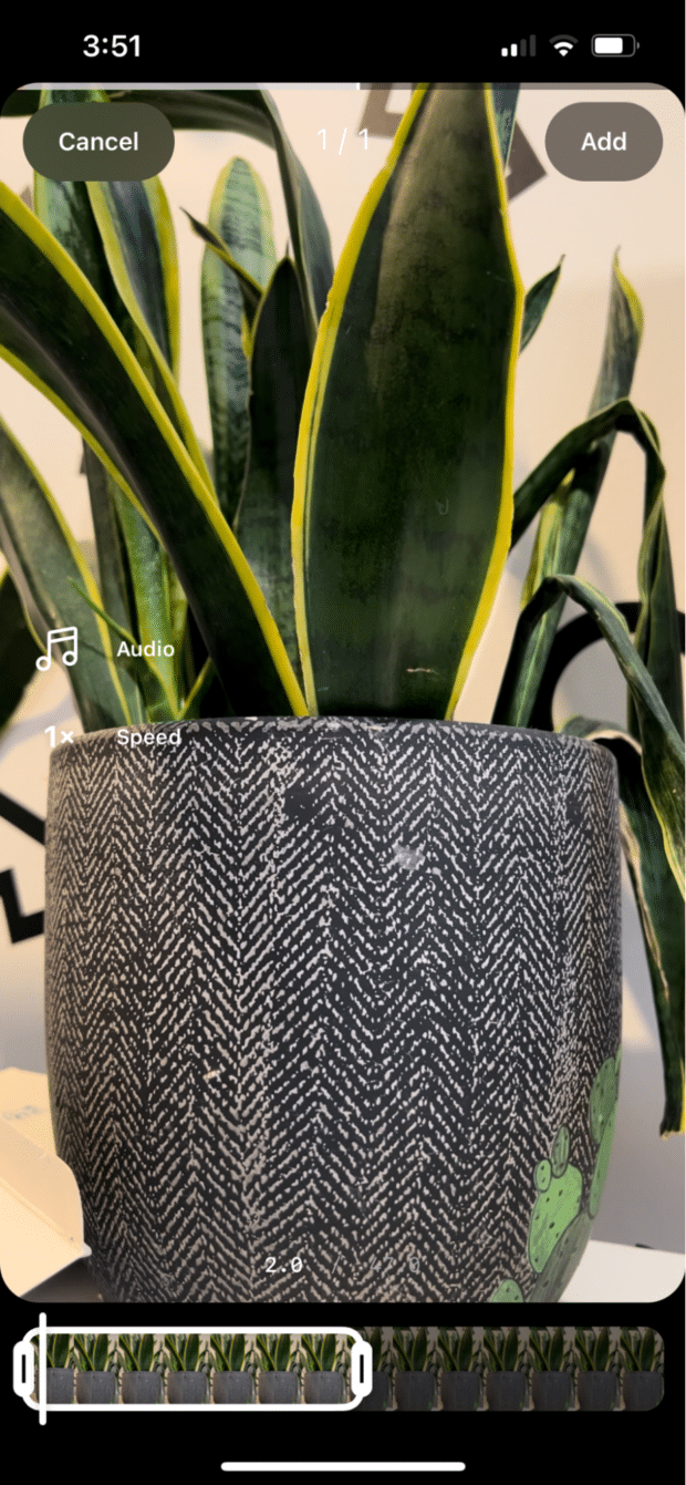 edit reel of green house plant