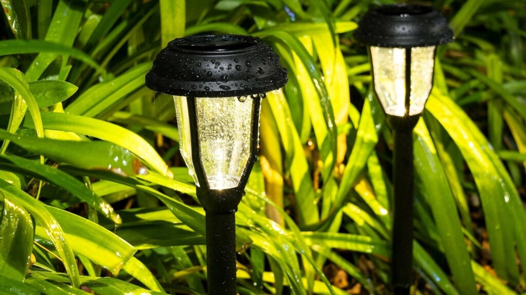 The most useful sustainable gadgets you can buy for your home and kitchen
