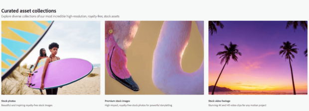Adobe Stock curated asset collections