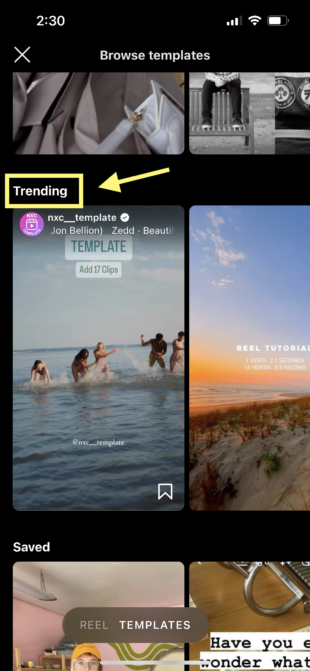 browse trending templates
