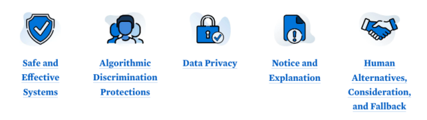 AI bill of rights safe and effective systems algorithmic discrimination protections data privacy