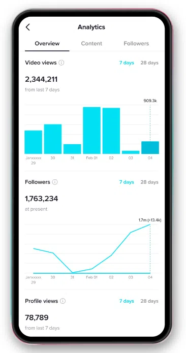 TikTok analytics native tool video views overview