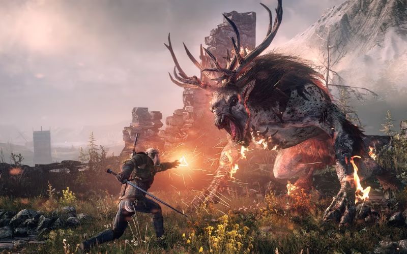 Witcher 3 gameplay visual