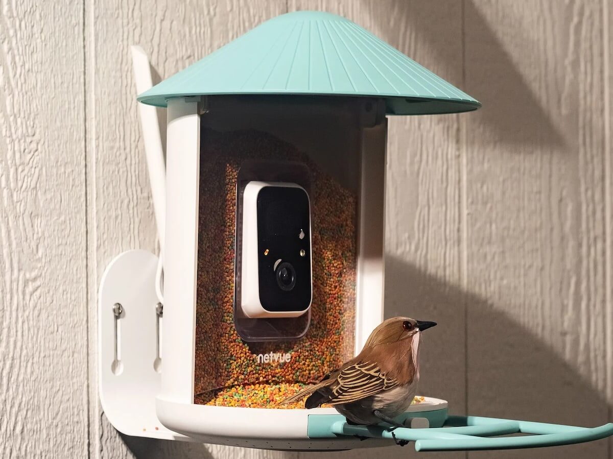 NETVUE by Birdfy Smart Bird Feeder: Bird Watcher Camera with Automatic Capture