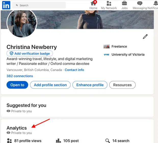 LinkedIn profile Analytics section profile views
