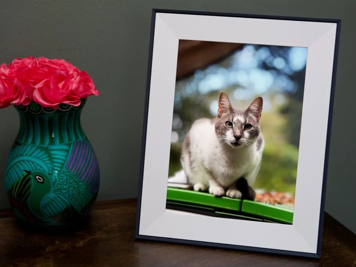 Aura Aspen 12″ HD Digital Picture Frame – Elegant Design with Smart Photo Sharing